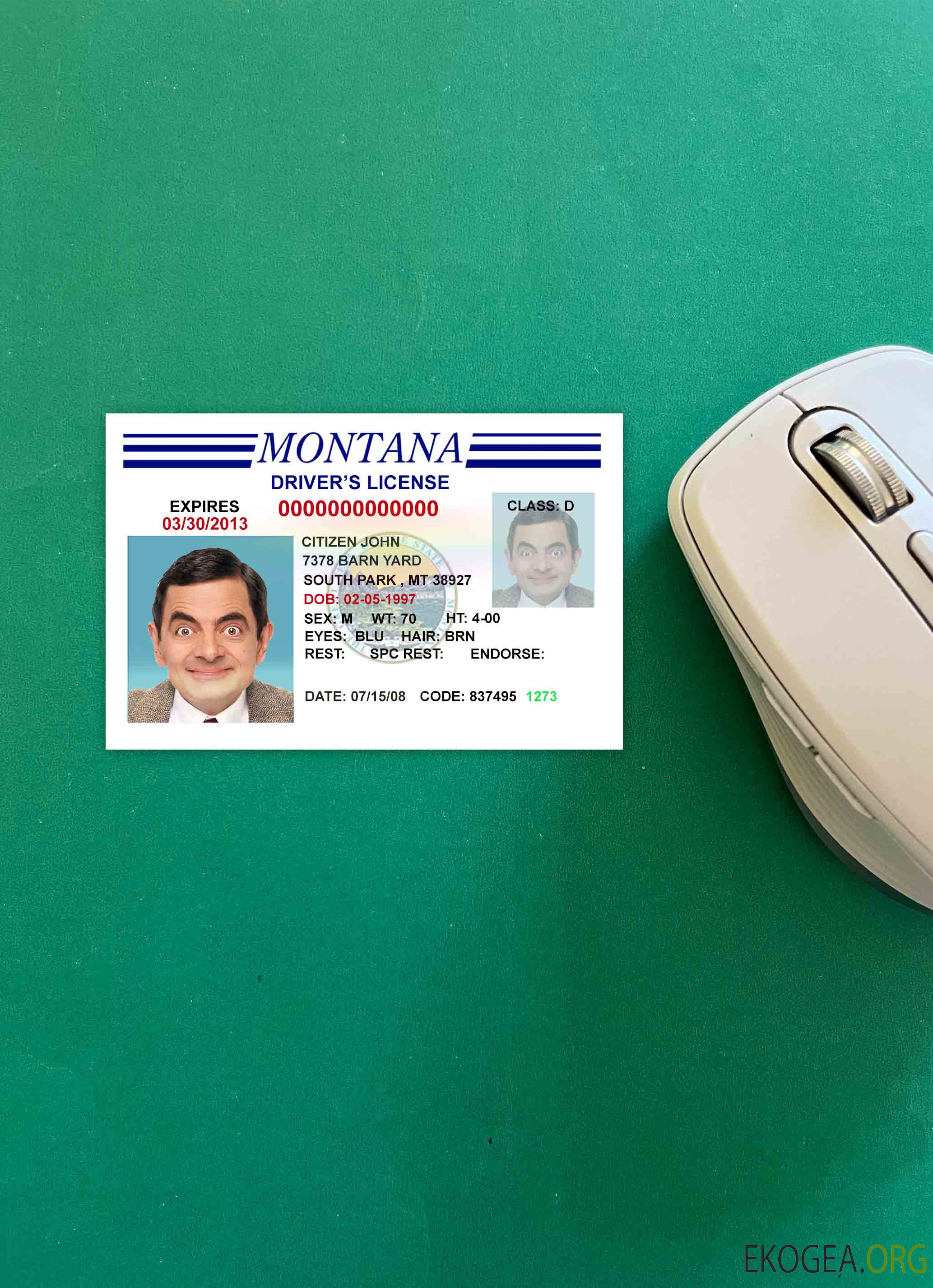 Permis de conduire USA Montana version 3 photolook AVANT